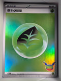 Basic Grass Energy Holo 166 30th Celebration Simplified Chinese Single Card
