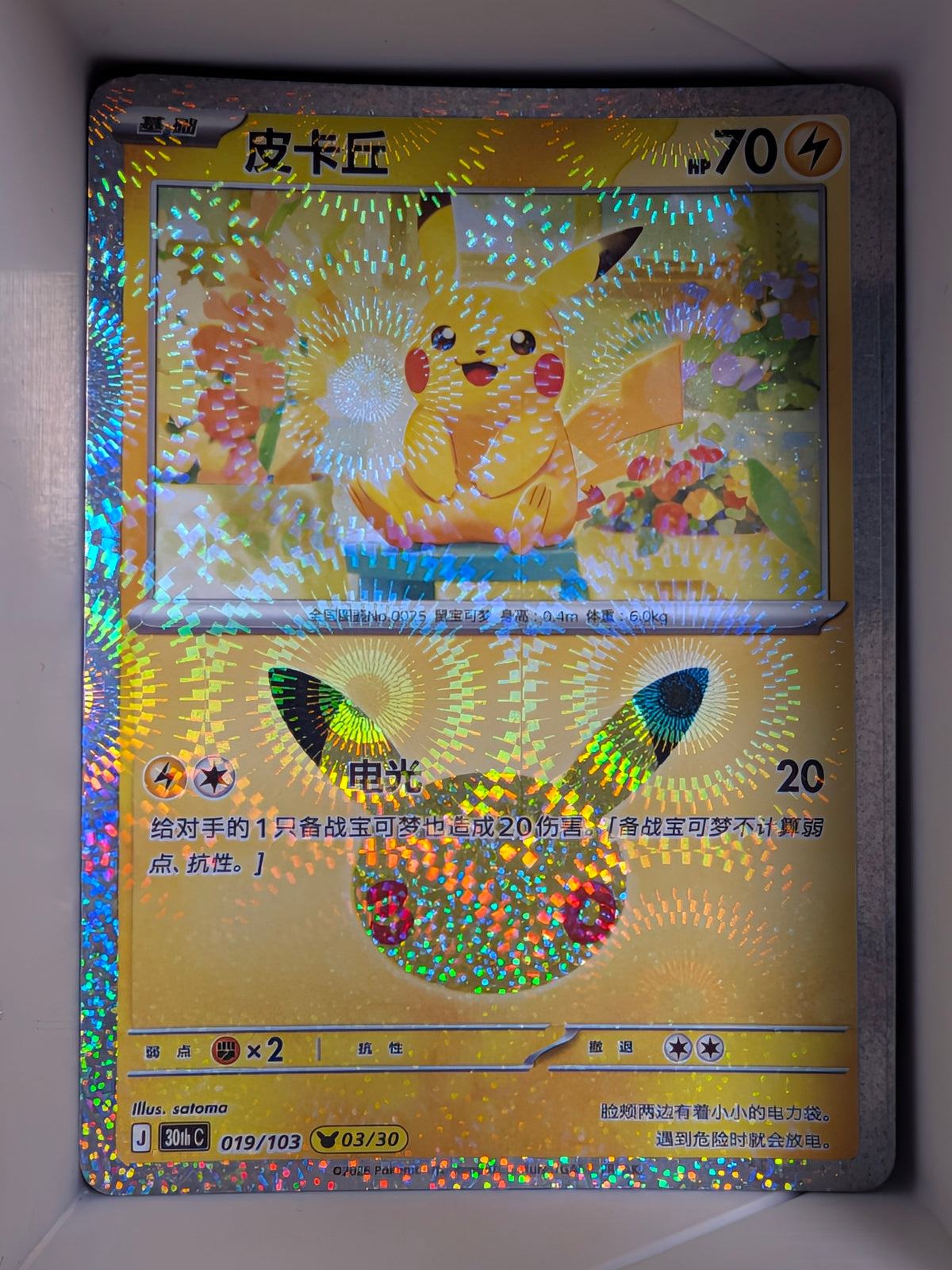 Pikachu Holo 019 30th Celebration Simplified Chinese Single Card